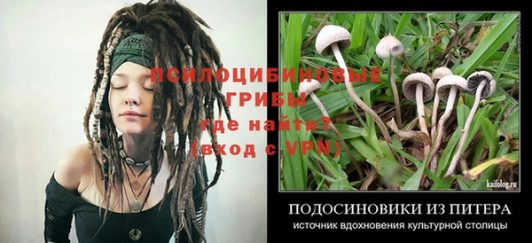 спайс Алзамай