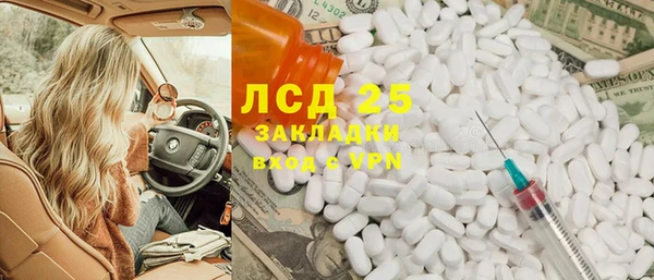 хмурый Новозыбков