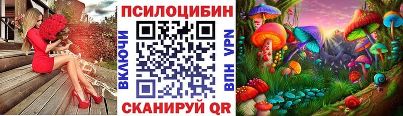 Псилоцибиновые грибы GOLDEN TEACHER  купить наркоту  сайты даркнета наркотические препараты  Нурлат 